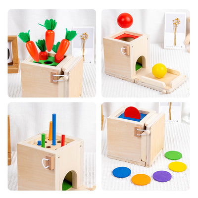 Goodiya Wooden Object Permanence Box – Montessori Drawer Game for Babies & Toddlers