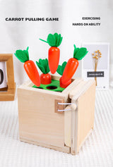 Preschool wooden developmental toy with pull-out drawer