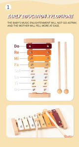 Early music development toy for babies and kids